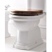 RETRO WC sedadlo Soft Close, orech/bronz